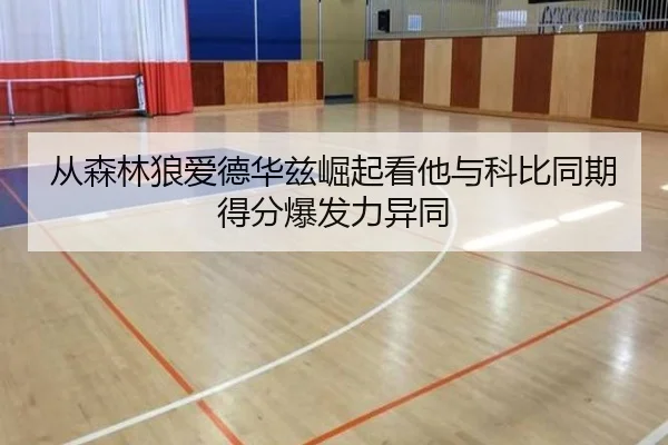 从森林狼爱德华兹崛起看他与科比同期得分爆发力异同 - pg